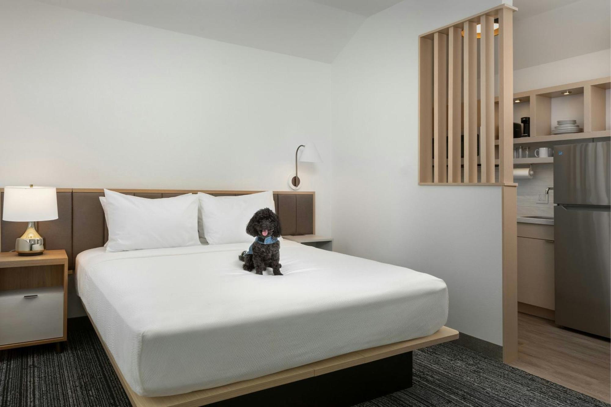 Towneplace Suites By Marriott Annapolis Dış mekan fotoğraf